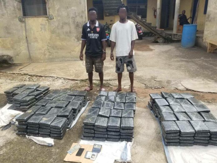offinso suspects