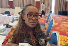 PAC Chair Abena Osei Asare wants EOCO reps present in Committee’s sittings
