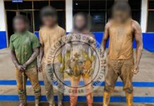 NAIMOS arrests four armed illegal miners in anti-galamsey operation at Dominase