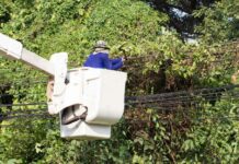 ECG targets vegetation control to improve supply reliability in Ashanti Region