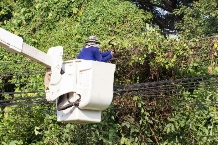 ECG Ashante (2)