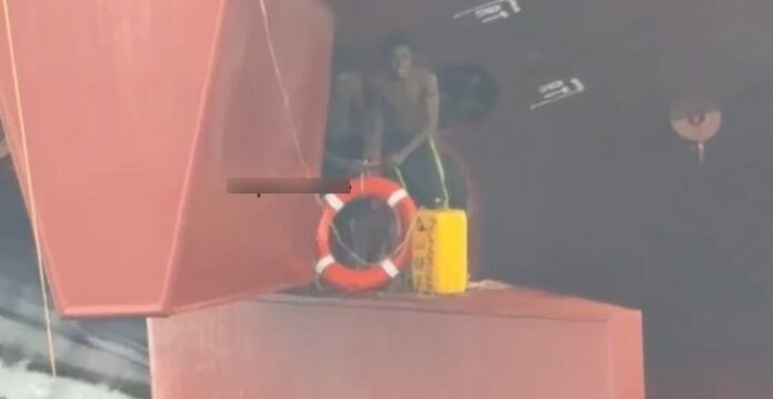 Stowaways