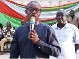 Jinapor: We’ll leverage petroleum resources responsibly while investing in cleaner energy systems