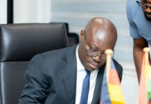 Progressive Youth Alliance commends Finance Minister for Ghana’s IMF exit