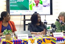 UN experts identify major gaps in protection of peasants and rural workers
