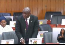 Damongo MP calls for urgent ministerial briefing on Xenophobic attacks on Ghanaians in South Africa