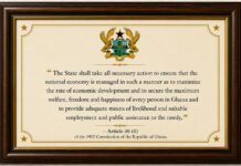 From Eric’s Diary: It’s time to replace the Presidential Portrait with a framed Directive Principles of State Policy Directive Principles of state policy