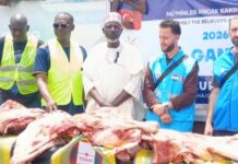 Eid-ul-Adha: Turkish, Ghanaian NGOs donate 100 cattle to support vulnerable families
