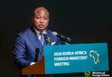 Hyundai to establish West Africa Automotive Manufacturing Plant in Ghana this year – Ablakwa