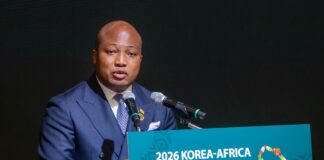 Hyundai to establish West Africa Automotive Manufacturing Plant in Ghana this year – Ablakwa