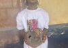 Sefwi Atronsu: 22-Year-old arrested for possession of human bones suspected to have been exhumed from grave