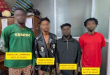 A/R: Four suspected drug peddlers arrested, firearm and narcotics seized