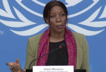Ghana’s Edem Wosornu appointed by UN Secretary-General as Assistant High Commissioner for Protection