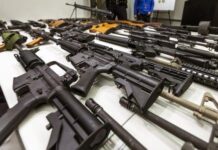 Adwoa Safo shooting: Lawyer advocates for UK’s private security regulatory system to curb abuses in Ghana