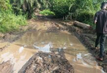 WNR: Gyakye residents appeal for action on damaged road; School children and farmers affected