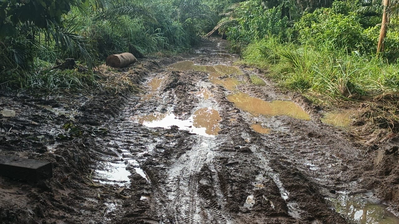 Bad road