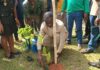 Western North Region targets 1.8m trees as Regional Minister launches Tree for Life Initiative