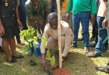 Western North Region targets 1.8m trees as Regional Minister launches Tree for Life Initiative