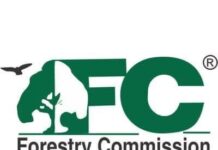 Western Region: Illegal miners clash with Forestry Commission officials Forestry Commssion