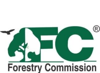 Western Region: Illegal miners clash with Forestry Commission officials Forestry Commssion