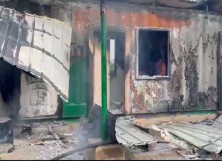 Ghana Institute of Foresters condemns violent attack on Forestry Commission officers at Babatokuma checkpoint
