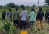 E/R: Six suspects arrested in connection with cultivation of cannabis