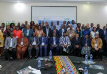 Stakeholders chart new course to unlock potential of ‘Opportunity Crops’ for food security