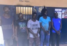 Police arrest six suspects over warehouse robberies in Tema, recover stolen fertilizers and rice