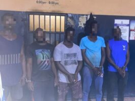 Police arrest six suspects over warehouse robberies in Tema, recover stolen fertilizers and rice