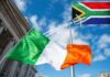 42 South Africans deported from Ireland on chartered flight Ireland to South Africa