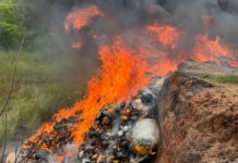 NACOC destroys 9.6 tonnes of cannabis, 46.89kg of cocaine in major anti-drug operation