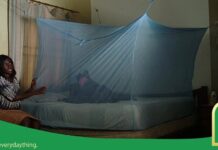 Insecticide Treated Nets distributed to primary school pupils are safe – Ghana Health Service