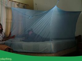 Insecticide Treated Nets distributed to primary school pupils are safe – Ghana Health Service