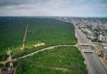 Cabinet revokes E.I. 144 to restore Achimota Forest to full reserve status