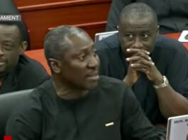 Finance Minister’s spending remarks must cause palpitations among Ministers – Afenyo-Markin