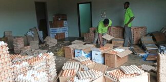 Burkina Faso lifts ban on Ghanaian egg imports; Dormaa exporters welcome breakthrough