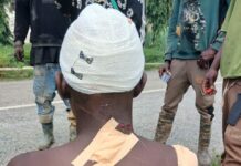 Reforestation worker allegedly shot by illegal chainsaw operators at Abesewa Forest