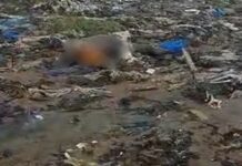 Lifeless body of middle-aged man found in Korle Lagoon after floods