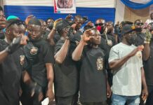 Disband Lions of NPP ‘vigilante’ group – Election Watch petitions Nat’l Security Coordinator