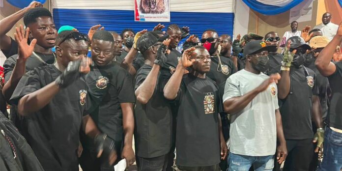 Lions-of-NPP