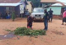 Western North Journalists Association calls for transparent probe into Seyerano shooting incident