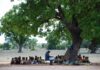 ‘Over 3m pupils still learning under trees’ – GNAT alarmed by Auditor-General’s report