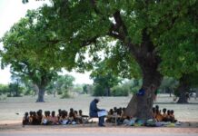 ‘Over 3m pupils still learning under trees’ – GNAT alarmed by Auditor-General’s report