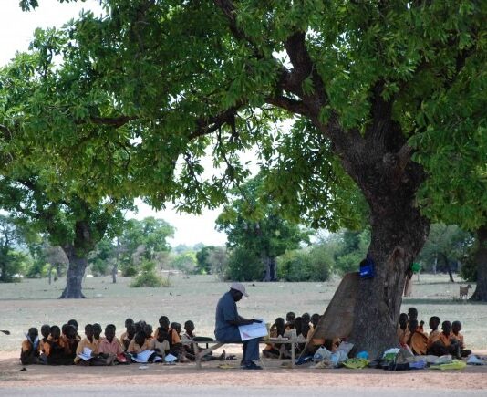 ‘Over 3m pupils still learning under trees’ – GNAT alarmed by Auditor-General’s report