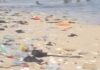 Garbage from floods driving tourists away from beaches – Ghana Tourism Authority CEO laments