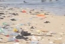 Garbage from floods driving tourists away from beaches – Ghana Tourism Authority CEO laments