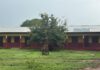 Eastern Region: Bat infestation keeps completed classroom block unoccupied