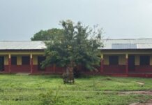 Eastern Region: Bat infestation keeps completed classroom block unoccupied