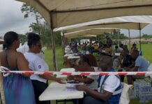 NPP Constituency Executive elections: Akyem Swedru and 3 others on hold, voting takes place in 29 areas
