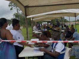 NPP Constituency Executive elections: Akyem Swedru and 2 others on hold, voting takes place in 29 areas